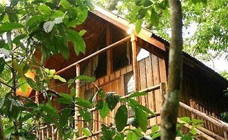 Bayrams Tree Houses Olympos Exteriér fotografie