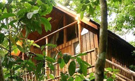 Bayrams Tree Houses Olympos Exteriér fotografie